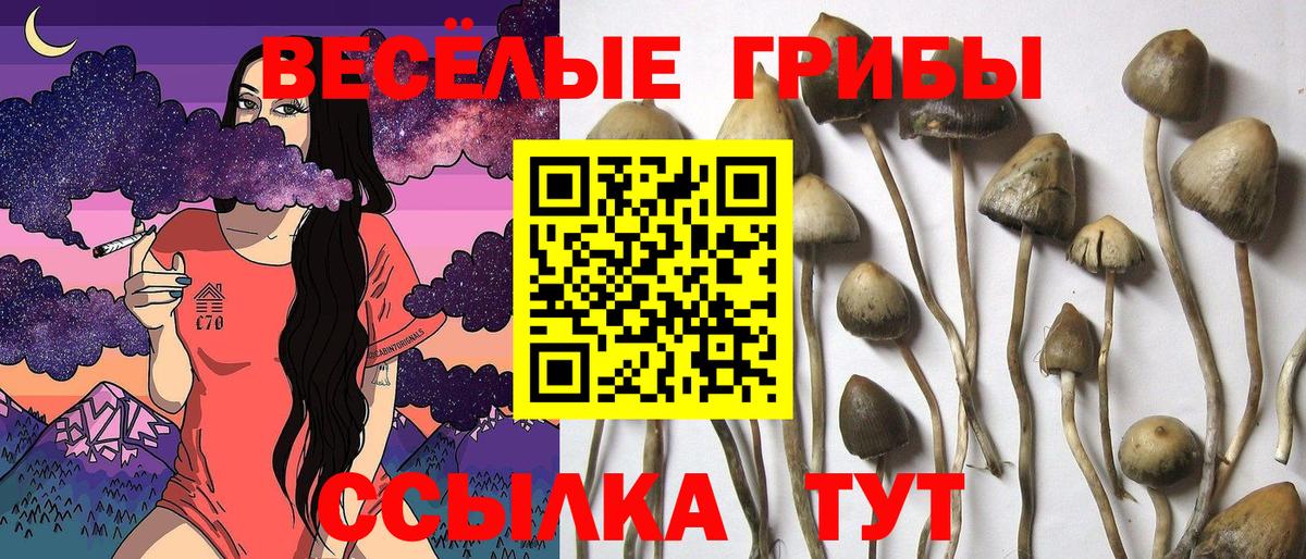 Галлюциногенные грибы Magic Shrooms  Вход с VPN  Кинель 