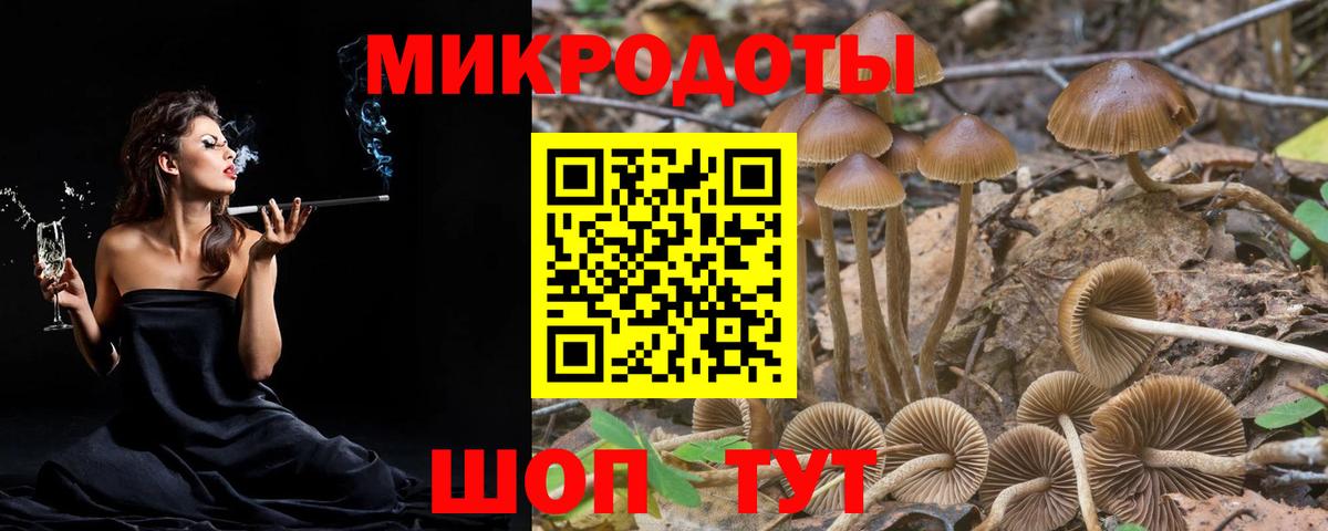 Псилоцибиновые грибы ЛСД Кинель